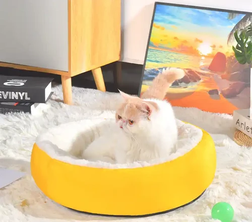 Kusyen Katil Anjing